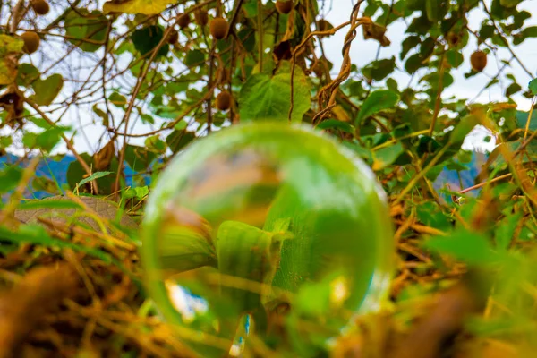 Lensball manzaralı muhteşem doğa.