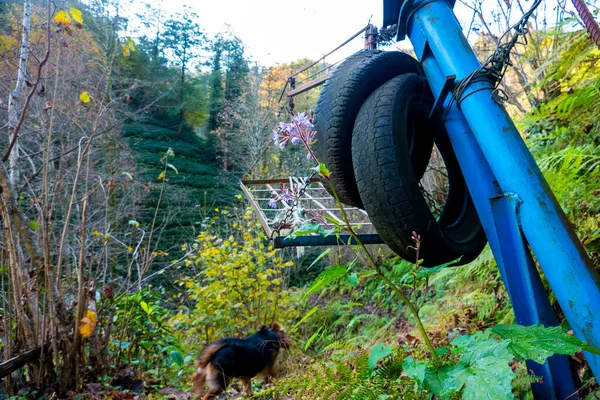 Çay bahçesi ve teleferik.