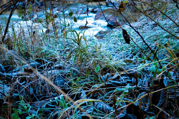 Flusso Che Scorre Tra Erba Congelata — Foto Stock