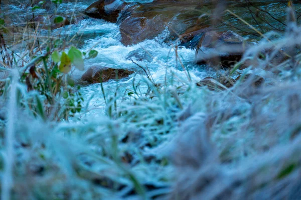 Strömma Som Rinner Mellan Fruset Gräs — Stockfoto