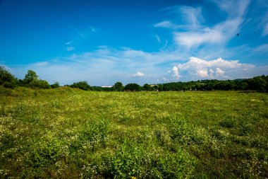 yeşil tarla ve mavi gökyüzü