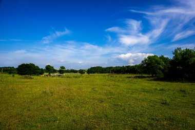 yeşil tarla ve mavi gökyüzü