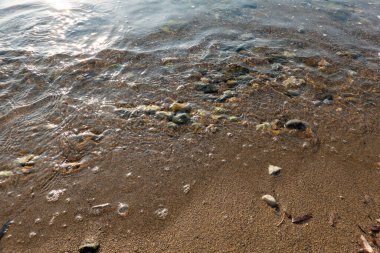 Yazın deniz, sahil ve kum.