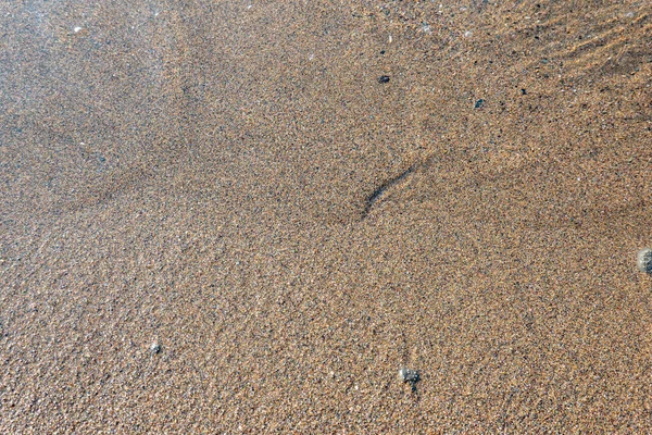 Mer Plage Sable Été — Photo