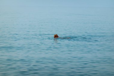 Denizde yüzen insanlar