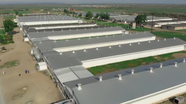 Agricultural firm aerial view. A modern enterprise for the production of various livestock products. New workshops and incubators, flying over the poultry farm — Stock Video