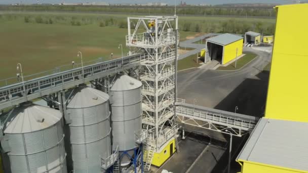 Un gran grupo de secadores de grano complejo para secar el grano. Una base de graneros. Industria agrícola. Secadora de grano industrial. almacenamiento y posterior transformación del grano — Vídeos de Stock