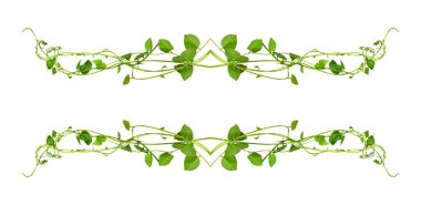 Çiçek Tasarımı. Kırpılmış orman sarmaşıkları kalp şeklinde yeşil yapraklı liana bitkisi beyaz arka planda izole, kırpma yolu dahil.