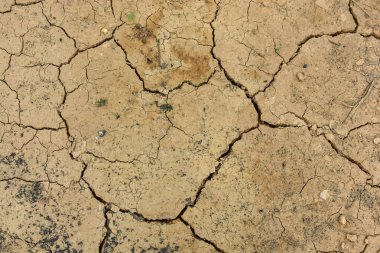 Küresel ısınmadan etkilenen kuraklıkta kurumuş toprak iklim değişikliğine yol açtı. Su kıtlığı ve kuraklık kavramı. Ekonomik büyüme kavramı