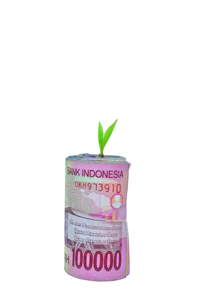 Indonesiska Pengar Rupiah Med Plantfrön Begreppet Ekonomisk Tillväxt — Stockfoto
