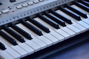 Piyano keybord görüntüsü. Süslü anahtar. Piyano tuşuna basılı çiçek.