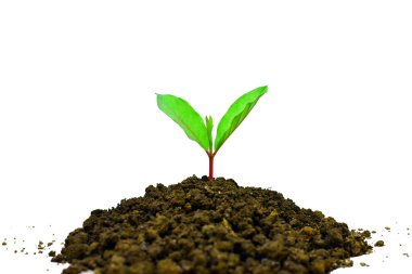 Tohumlar topraktan büyür, beyaz arka planda izole edilmiş küresel ısınma kavramı.