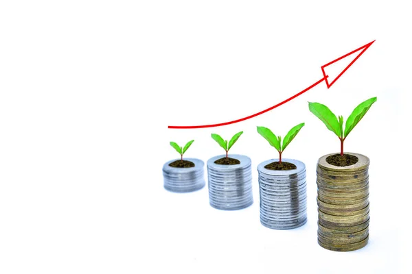 Barra Delle Monete Con Grafico Linee Crescita Del Concetto Finanziario — Foto Stock