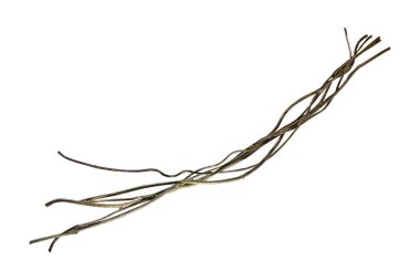 Tahta kökünü kapatın. Spiral kıvrılmış orman ağacı dalı, beyaz arka planda izole edilmiş sarmaşık bitkisi, kırpma yolu da dahil. HD Resim ve Büyük Çözünürlük. Duvar kağıdı olarak kullanılabilir