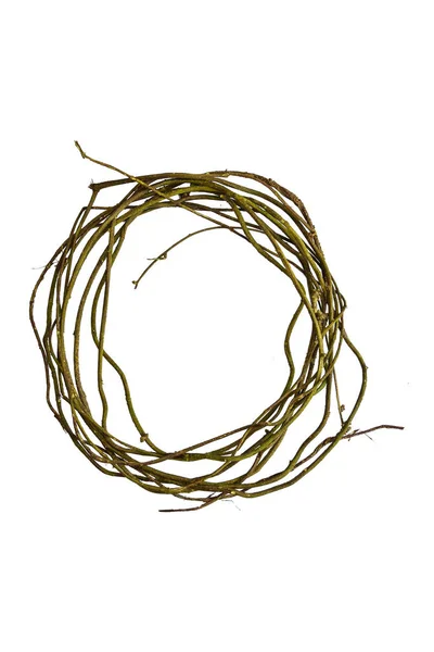 Stäng Träroten Spiral Vriden Djungel Träd Gren Vinranka Växt Isolerad — Stockfoto