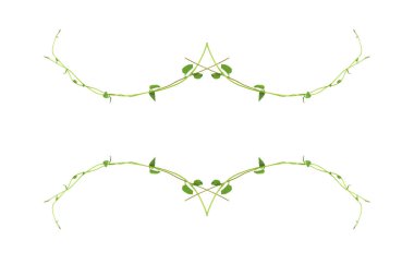 Yeşil yapraklar, şeytan sarmaşığının ya da altın tutamların doğası beyaz arka plandaki tropikal yaprak bitkisinin sınırını oluşturur.