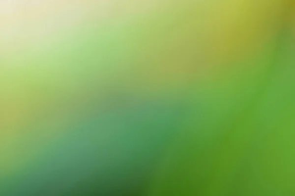 Bokeh Groene Natuur Subtiele Achtergrond Abstracte Stijl Voor Grafisch Ontwerp — Stockfoto