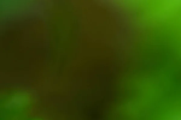 Bokeh Green Nature Subtle Background Abstract Style Graphic Design Wallpaper — 图库照片
