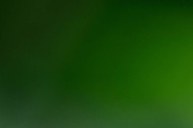 Bokeh yeşil doğa, grafik tasarımı veya duvar kağıtları için soyut biçimdeki ince arkaplan