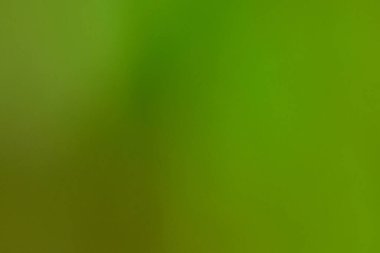 Bokeh yeşil doğa, grafik tasarımı veya duvar kağıtları için soyut biçimdeki ince arkaplan