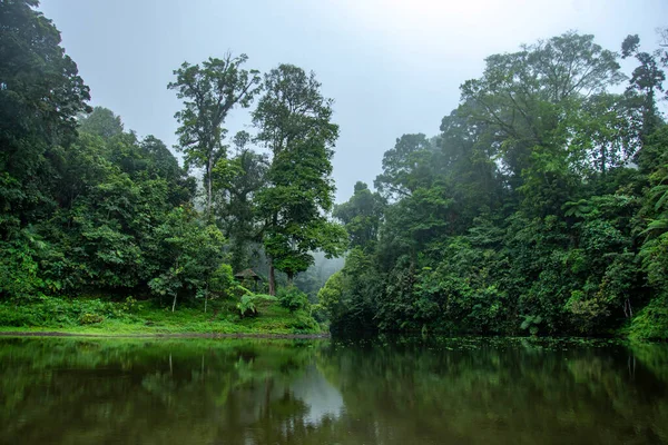 Meer Het Midden Van Het Bos Vroege Lente Bergen Het — Stockfoto