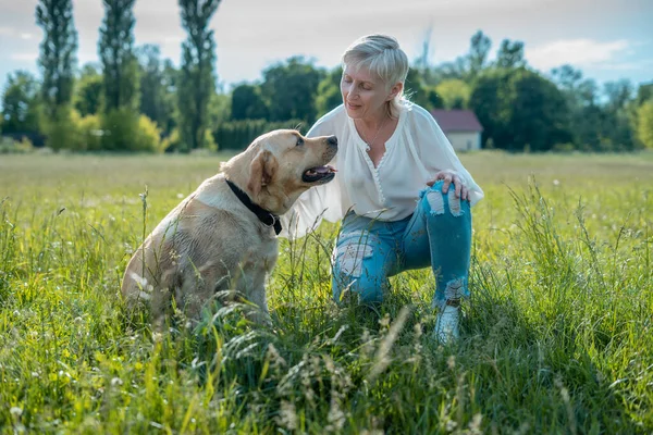Mutlu yaşlı kadın güneşli yaz parkında Labrador Retriever köpeğiyle oynuyor.