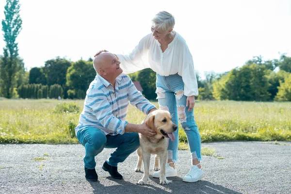 Mutlu yaşlı çift güneşli yaz parkında Labrador Retriever köpeğiyle oynuyor.