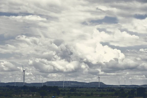 Gujarat, Hindistan 'da ekoloji elektrik rüzgar çiftliği.