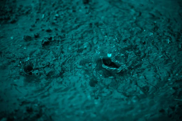 Yağmur suyu yağmur suyuna düşer. Şiddetli yağış ve su sıçraması yararlı arkaplan.