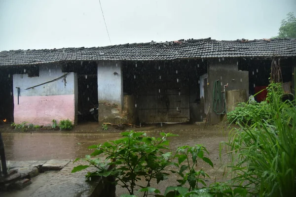 Orman evinde yağmur. güzel muson görüntüsü.