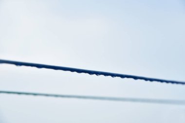 Su, yüksek voltajlı elektrik teline düşer..