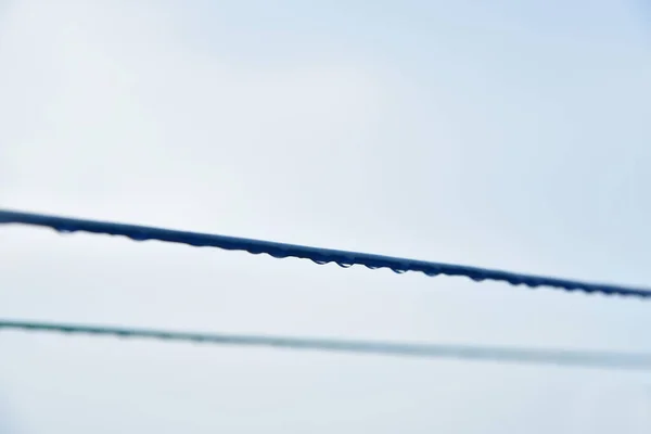 Su, yüksek voltajlı elektrik teline düşer..