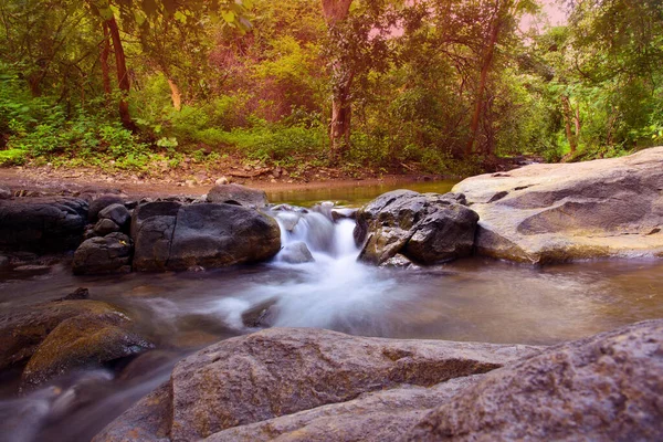 Wasser Fließt Kleinem Bach Wald Von Gir Gujarat Indien lizenzfreie Stockfotos