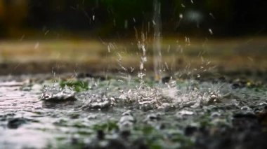 Suya düşen yağmur damlaları.