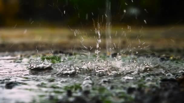 雨滴落水 — 图库视频影像