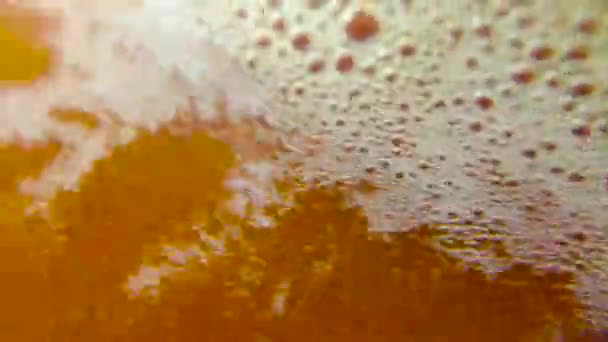 Close Bolle Birra Video — Video Stock