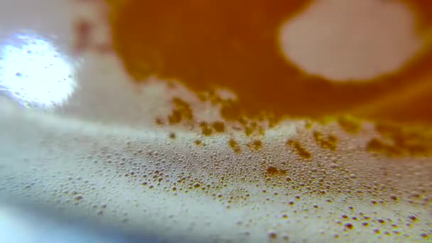 Close Beer Bubbles Video — Stock video