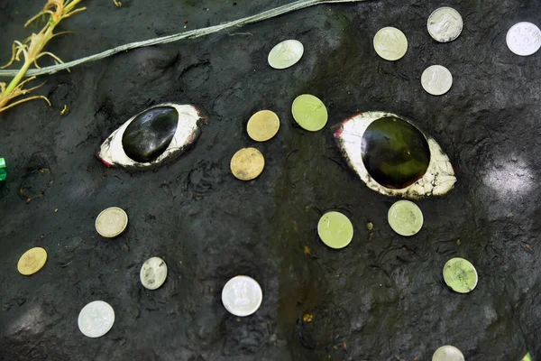 Gözün taşta olsun. Siyah taşın üzerine Hint parası. .