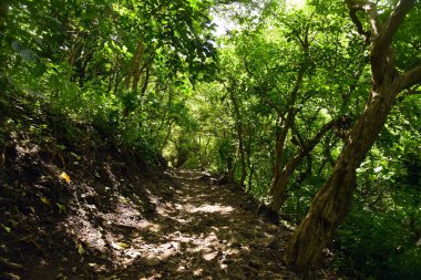 Çevresi çukur ormanlarda yeşilliklerle çevrili .