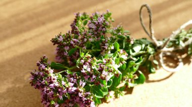 Oregano buketi masada yatıyor, aroma çaylı marjoram buketi.