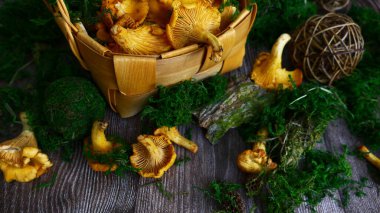 Mantar mantarı yosunların içinde