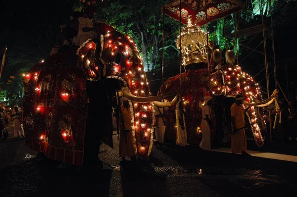 Maligawa Tusker Kandy Perahera Srí Lanka — Stock Fotó