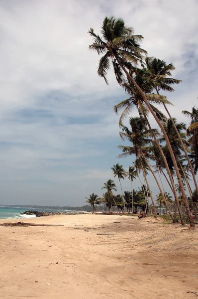Hikkaduwa Sandy Beach Sri Lanka —  Fotos de Stock