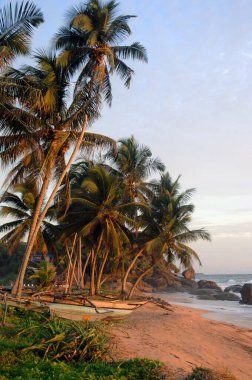 Sahil Sahili Sri Lanka