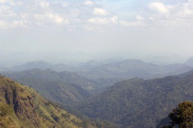 Manzara Görünümü Ella Sri Lanka