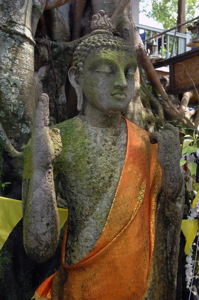 Buddha Gangaramatemplet Colombo Sri Lanka — Stockfoto