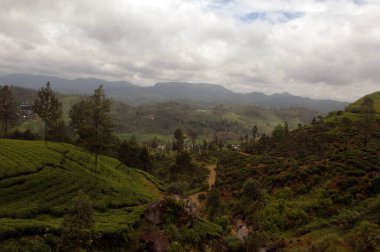Çay Evleri Nuwara Eliya Sri Lanka