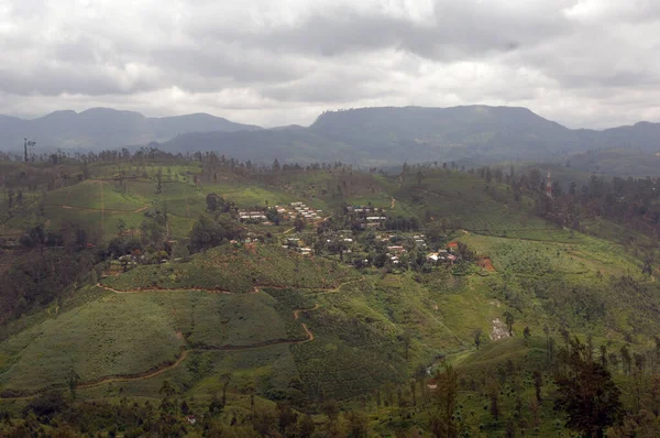 Teet Estates Nuwara Eliya Sri Lanka — Stockfoto