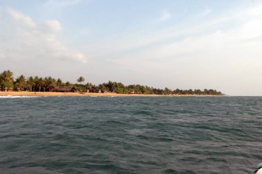 Plaj Dağı Lavinia Sri Lanka