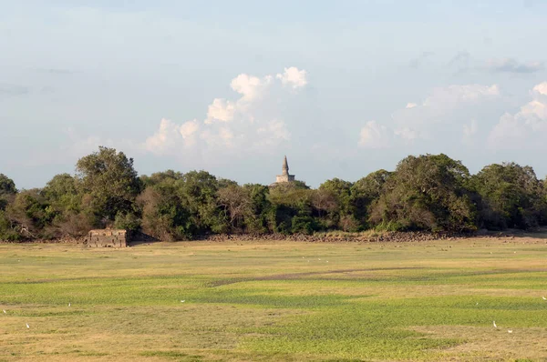 斯里兰卡Polonnaruwa的Dagoba — 图库照片